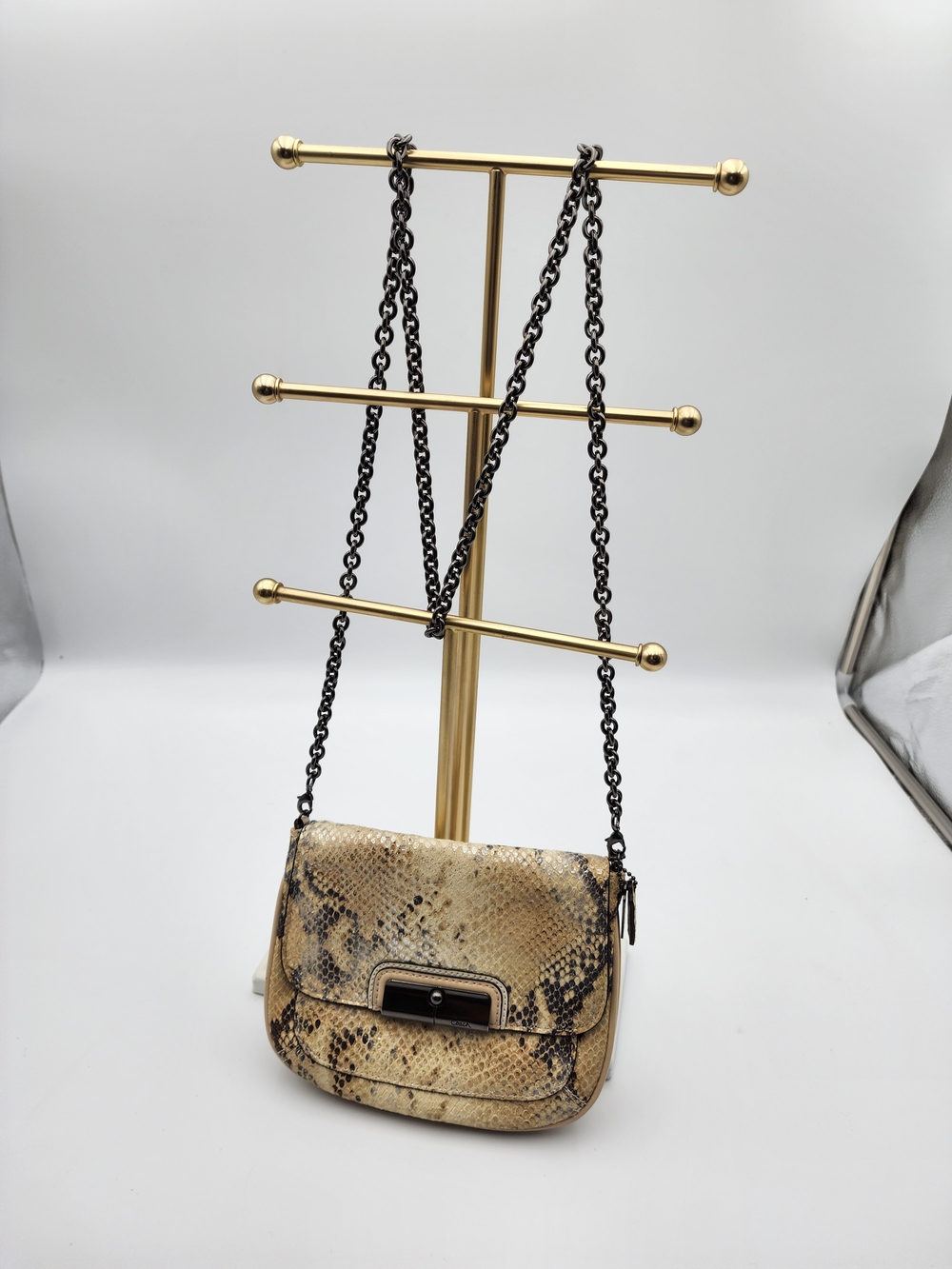 Coach Kristin Python Embossed Chain Crossbody Bag Mini